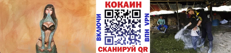 Cocaine 98%  Петрозаводск 