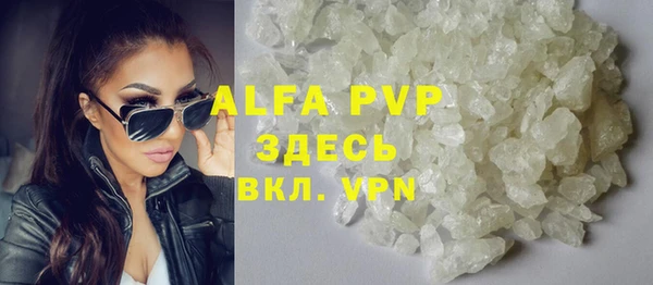 прущие грибы Богданович