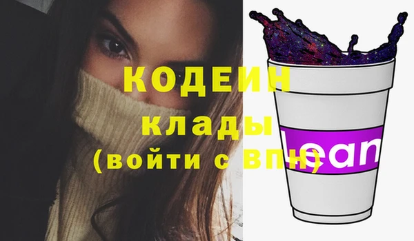 прущие грибы Богданович