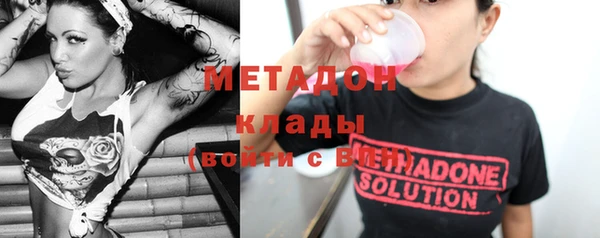 прущие грибы Богданович
