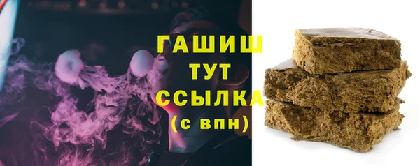 прущие грибы Богданович