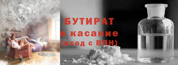 прущие грибы Богданович