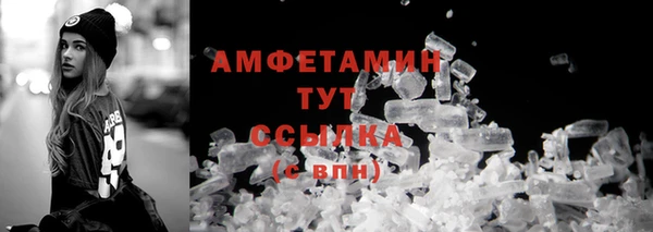 прущие грибы Богданович