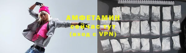 крисы Богородицк