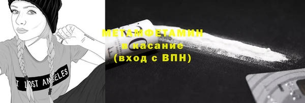 прущие грибы Богданович
