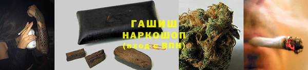 крисы Богородицк