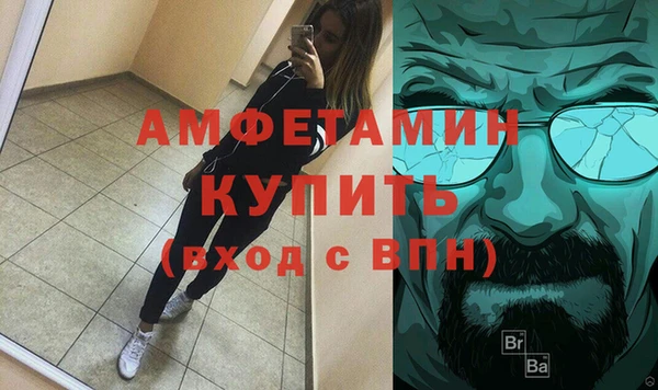 крисы Богородицк