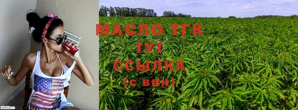 прущие грибы Богданович