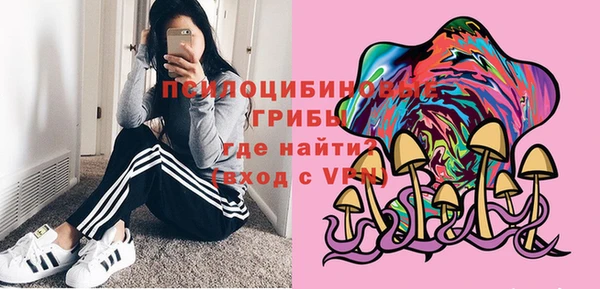 крисы Богородицк
