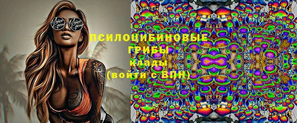 прущие грибы Богданович