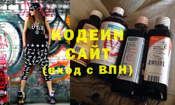 крисы Богородицк