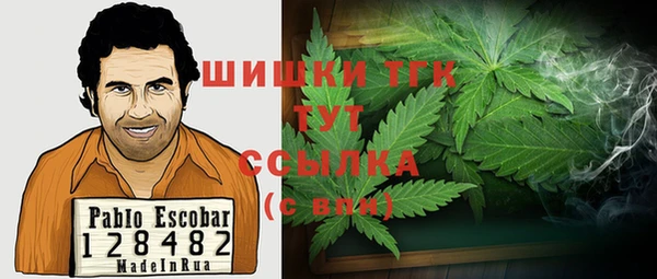 крисы Богородицк