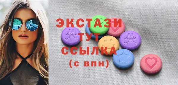 крисы Богородицк