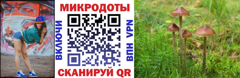 Псилоцибиновые грибы Psilocybine cubensis  shop телеграм  Петрозаводск 